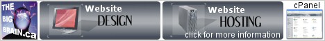 Web Site Hosting and Design by The Big Brain
